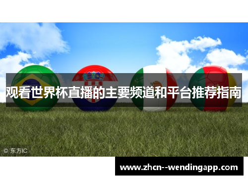观看世界杯直播的主要频道和平台推荐指南
