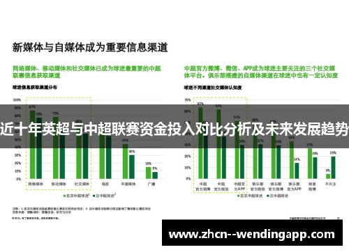 近十年英超与中超联赛资金投入对比分析及未来发展趋势